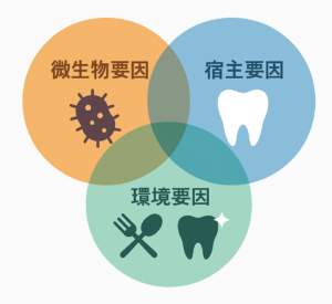 岩国市　歯医者　虫歯