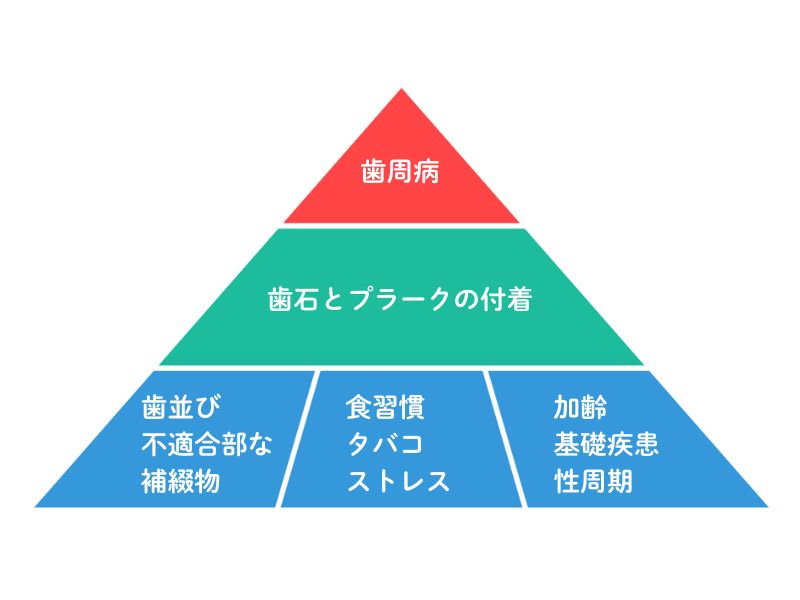 岩国　歯周病