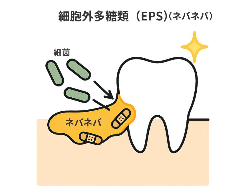 岩国市　歯周病