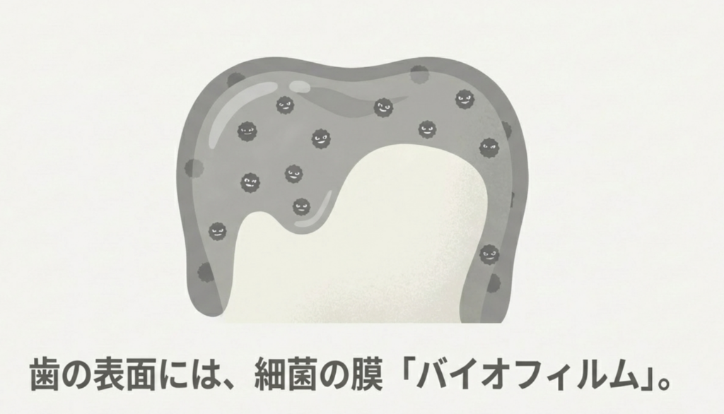 岩国市 歯科 インフルエンザ予防