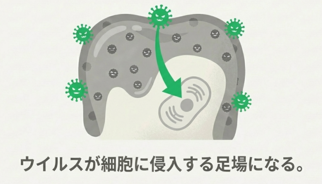 岩国市 歯科 インフルエンザ予防