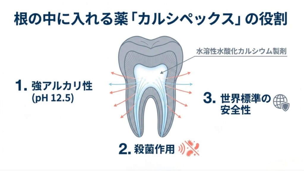 岩国市 歯科 精密根管治療