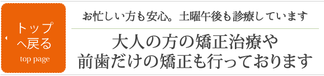 トップページに戻る